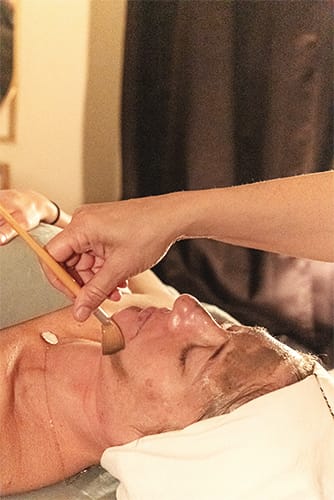 FAcial 2 Detox Facial